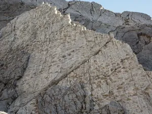 Misteri Jejak Dinosaurus di Tebing Batu Italia