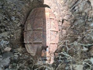 Bersihkan Makam, Warga Menganti Gresik Temukan Granat Nanas