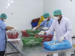 Kementerian UMKM Bakal Perkuat Kemitraan & Rantai Pasok Usaha di 2026