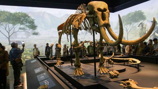Menelusuri Jejak Awal Nusantara Lewat Pameran Sejarah Awal di Museum Nasional