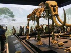 Harga Tiket Museum Nasional Naik, 14 Museum Jakarta Ini Gratis-di Bawah Rp 10 Ribu