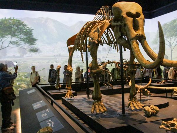 Menelusuri Jejak Awal Nusantara Lewat Pameran Sejarah Awal di Museum Nasional