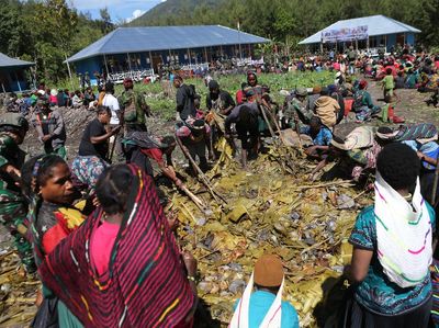 Tradisi Bakar Batu Tunjukkan Papua Kondusif Jelang Natal dan Tahun Baru