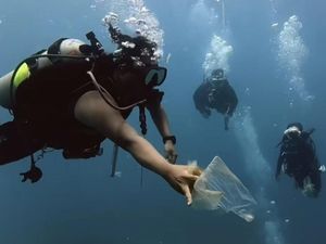 Manta Point Nusa Penida Tercemar Sampah Plastik, Pari hingga Penyu Terancam