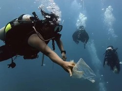Manta Point Nusa Penida Tercemar Sampah Plastik, Pari hingga Penyu Terancam