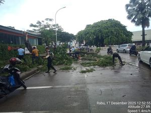 Pohon Tumbang di Serpong Timpa Pikap Muatan Kaca hingga Pecah