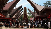 Potret Ma'pasonglo, Ritual Pemakaman Bangsawan Toraja