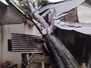 6 Rumah Warga di Pandeglang Rusak Diterpa Angin Kencang dan Pohon Tumbang