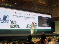 Wamendikti Stella: Kasih Gadget Saat Anak Makan Itu Nggak Benar