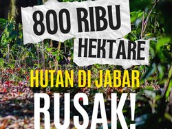 Video: 800 Ribu Hektare Hutan di Jabar Rusak!