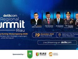 Melihat Arah Pembangunan Provinsi Riau di detikcom Regional Summit