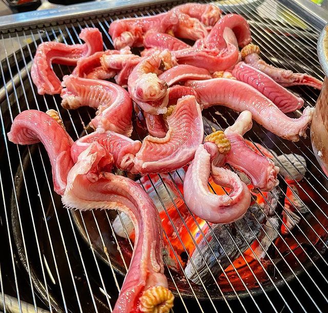 Ikan Hagfish Jadi Seafood Eksotik di Korsel