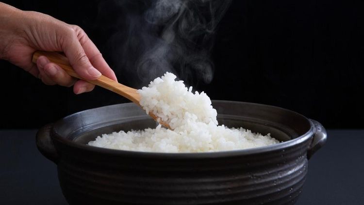 Berat Badan Tak Beranjak Meski Diet Porsi dan Hindari Nasi? Dokter Bongkar Penyebabnya
