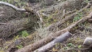 Video Promosi Wisata Gunung Salak Viral, Warga Lokal Geram!