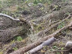 Video Promosi Wisata Gunung Salak Viral, Warga Lokal Geram!