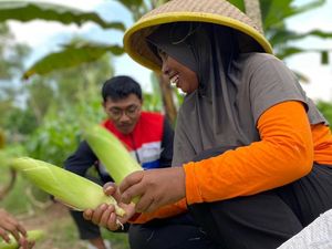 Limbah Gonggong Disulap Jadi Penetral Tanah, Warga Tembesi Rasakan Dampaknya