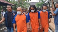 Pertanian Ganja di Jombang Terinspirasi Naskah Kuno Nusantara