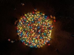 Pohon Natal dari 460 Perangkap Lobster Menyala di AS