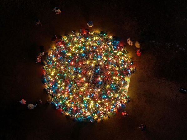 Pohon Natal dari 460 Perangkap Lobster Menyala di AS