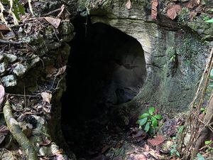 Hutan Adat Kampung Merasa di Berau yang Kaya Warisan Budaya