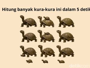 Coba Hitung Ada Berapa Hewan yang Sembunyi! Kalau Salah Bisa Jadi Harus Cek Mata