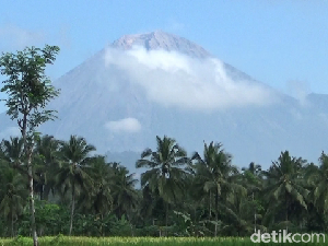 Gunung Semeru Erupsi 4 Kali Pagi Ini, Kolom Abu Capai 1.000 Meter