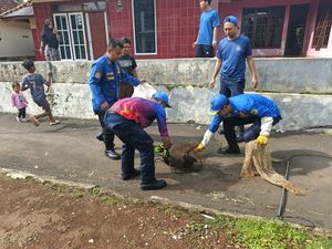 30 Menegangkan Saat Damkar Evakuasi Anjing Liar di Kuningan