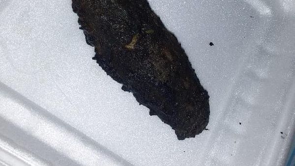 Ragam Sad Food Netizen, Beli Online yang Datang Nggak Sesuai Harapan