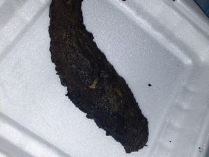 Ragam Sad Food Netizen, Beli Online yang Datang Nggak Sesuai Harapan