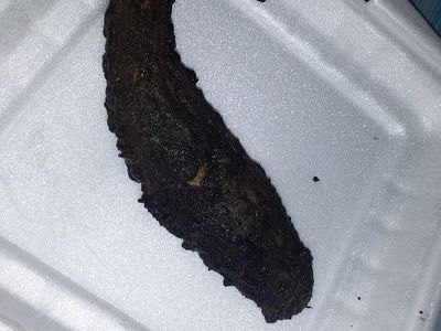 Ragam Sad Food Netizen, Beli Online yang Datang Nggak Sesuai Harapan