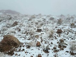 Cuaca Ekstrem Landa Saudi, Salju Selimuti Jabal Al-Lawz
