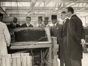 Tembakau Deli: Warisan yang Membesarkan Medan, Kini Tinggal Cerita