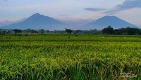 Rekomendasi 10 Lokawisata Menarik di Klaten
