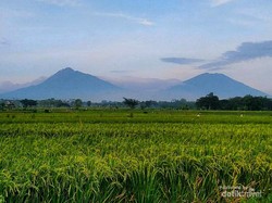 Rekomendasi 10 Lokawisata Menarik di Klaten