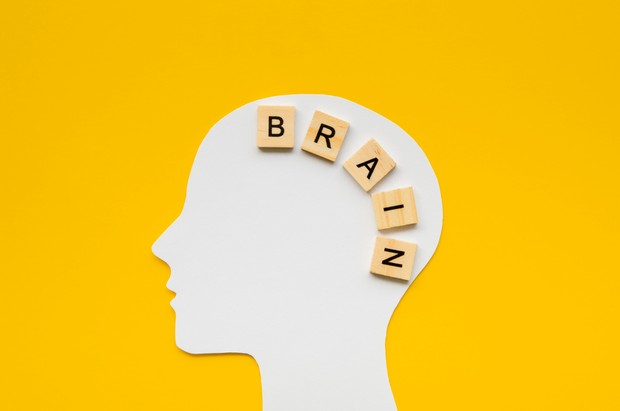 /Foto: Freepik.com/Freepik Terong memiliki manfaat untuk kesehatan otak yang berasal dari kandungan antioksidan yang melindungi sel saraf.