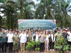 Disaksikan Menhut-Forkopimda Riau, Penumbangan Sawit Awali Pemulihan Tesso Nilo