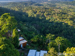 Ingin Liburan Nyaman? Cek 5 Tempat Wisata Ramah Anak di Lombok
