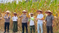 Panen Raya Jagung, Kapolres Inhu Apresiasi Kemandirian Pangan di Ponpes