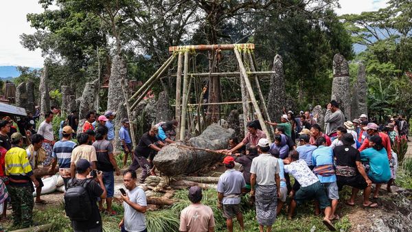 Ritual Rambu Solo Toraja Utara, Warga Gelar Prosesi Tarik Batu Simbol Keabadian
