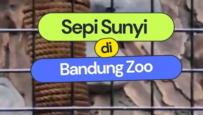 Video: Sepi Sunyi di Bandung Zoo