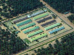 5 Bencana Paling Sering Terjadi di Indonesia Tahun 2025, Banjir Mendominasi