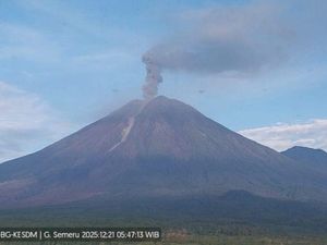 Gunung Semeru Erupsi Lagi Pagi Ini, Tinggi Letusan Capai 1,2 Km