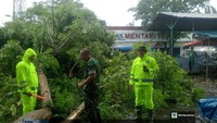 Hujan Angin Terjang Babat, Pohon Tumbang Timpa Motor & Toko Pasar Agrobis