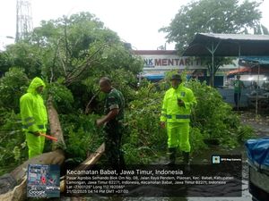 Hujan Angin Terjang Babat, Pohon Tumbang Timpa Motor & Toko Pasar Agrobis