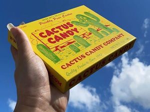 Nyeleneh! Makanan Kemasan Ini Hadir dengan Rasa Tak Biasa