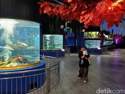 Wahana Baru Akuarium Kansae Purbasari Purbalingga, Cocok buat Liburan Nataru