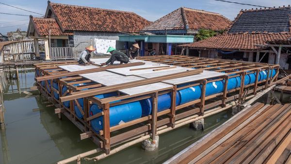 Rumah Apung Jadi Harapan Warga Pesisir Demak Hadapi Banjir Rob Permanen