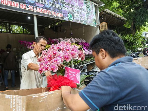 Hari Ibu dan Nataru Dongkrak Penjualan Anggrek di Darmawangsa Jaksel