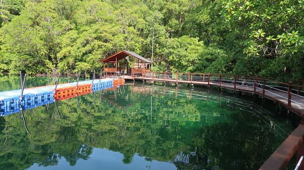 Danau Kakaban di Kalimantan Timur