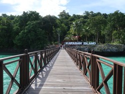 Begini Rasanya Berenang di Antara Jutaan Ubur-ubur Tak Menyengat